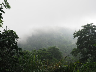 Cloud forest in Sao Tome