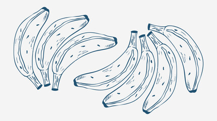 bunch of banana isolated on white background, vector banana doodle