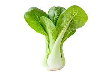 Bok choy vegetable PNG