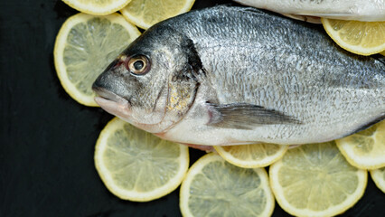 Raw fish dorada. Raw fish fillet on dark background ready for cooking, food background. top view. Healthy food concept. Mediterranean seafood. gilt-head sea bream