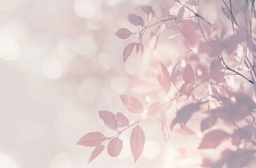 Pastel leaves, sunlit branches, bokeh background, nature serenity, website banner
