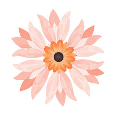 Fototapeta premium A symmetrical illustration of a pink and orange flower with detailed petals.