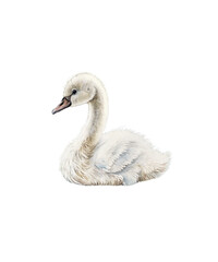 Fototapeta premium Cute Baby Animals Watercolor Illustrations – Lambs, Chicks, Bunnies, and Ducklings for Spring and Easter Designs
