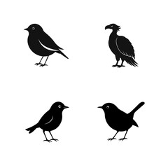 set of silhouettes of birds