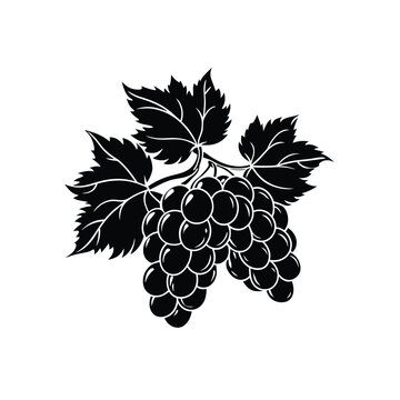 black grapes bunch leaves white background clip art preview