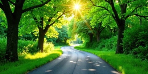 Obraz premium Sunlit Winding Road Through Lush Green Canopy of Trees on a Summer Day