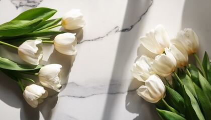 white tulip flowers bouquet on marble table background with aesthetic natural sunlight shadows lifestyle spring floral mobile phone wallpaper design or vertical social media template