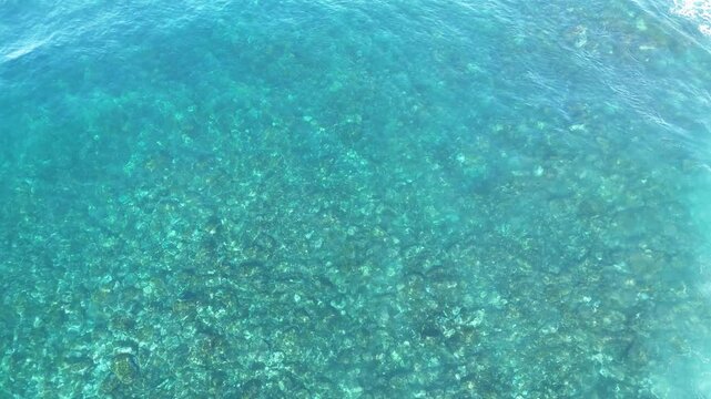 fondo del mar