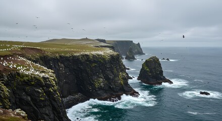 Fototapeta premium Rocky Coastline with Bird Colonies and Dramatic Cliffs Under Overcast Sky