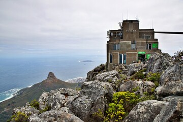 Auf dem Tafelberg in Kapstadt