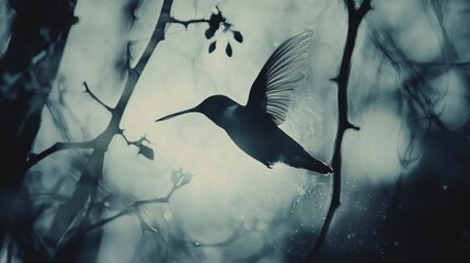 Hummingbird hovering gracefully amidst dark branches in a misty environment