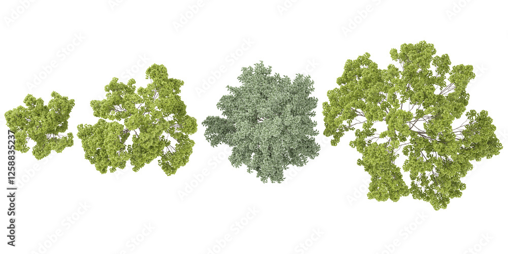 Aufkleber set of acer trees on transparent background from the top view