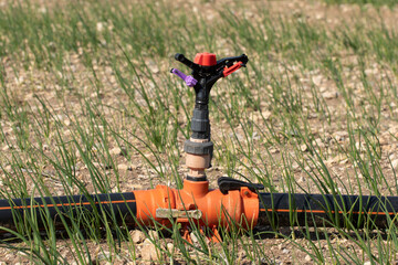 Closeup of a sprinkler irrigation connection to extend pipe lines in a garden