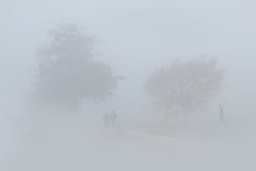 The grim reaper in the fog waiting for old couple