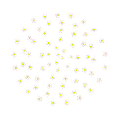 Small yellow and white flowers placed in a circle on a white background. Spring and joy concept. Background. Illustration.