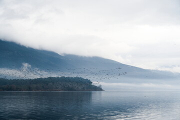 Birds flying over lake Pamvotis in Ioannina, Greece