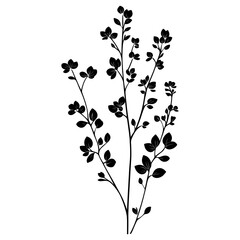 Wild flower Barberry illustration minimalist design vector