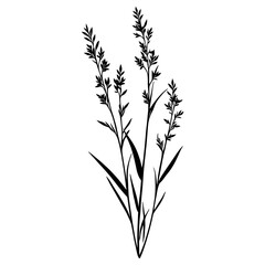 Naklejka premium Wild flower Horseweed illustration minimalist design vector