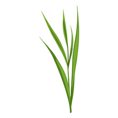 Obraz premium Flat vector of wild grass leaf illustration plant vector