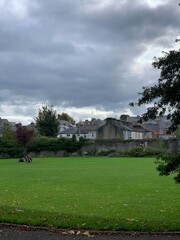 Naklejka premium park with houses