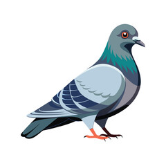 Obraz premium color vector pigeon isolated on white background