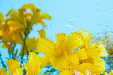 Fototapete bei efototapeten.de bestellen   