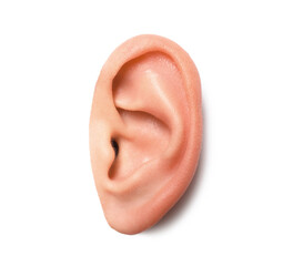 Fototapeta premium Woman on white background, closeup of ear