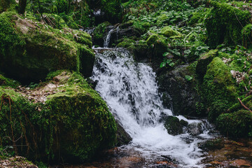 Mountain river water flow in green Alps forest. River stream waterfall in forest landscape. Scenic view of rocky mountains covered with snow located near hooker river flowing through rocks on sunny