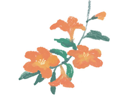 vector illustration of an orange flower