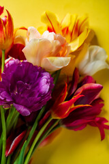 Obraz premium Vibrant Tulip Bouquet Celebrating Spring's Beauty Against a Sunny Backdrop of Bright Yellow.