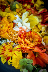 Vibrant Garden Blooms Showcase a Palette of Yellow and Orange Hues With Intricate Textures, Celebrating Nature's Beauty in Full Bloom During a Sunny Afternoon.