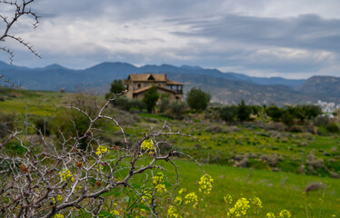 Rolling hills embrace an abandoned house under a brooding sky in a rural landscape