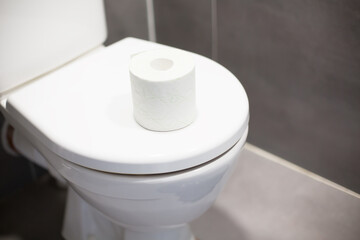  Toilet with a Roll of Toilet Paper on the Seat