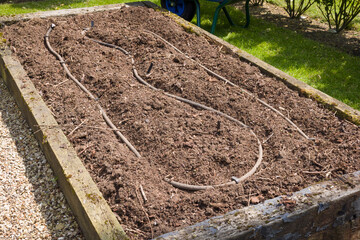 Empty raised bed with soaker hose irrigation, UK garden
