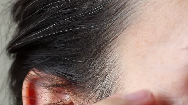 The initial stage of gray hair. The problem of gray hair in women. Hair care concept, the appearance of gray hair. Close up view. Selective focus.