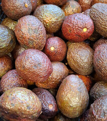 avocado fantastic color. ripe avocado fruit with a green-brown-ruby skin folded into a mound