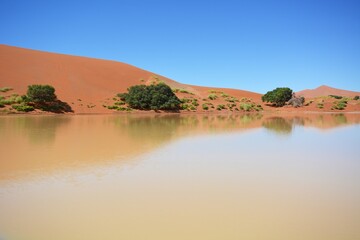 Wasser im Sossusvlei