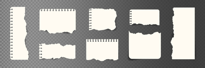 Obraz premium Set of blank white paper notebook page with ripped edges. Realistic Torn paper pieces. Template for note message, school information, reminder, banner, collage, label