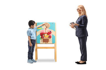 Fototapeta premium Teacher explaining human body organs to a boy