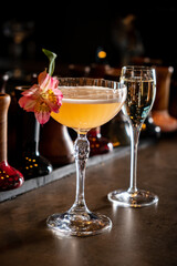 Delightful Cocktail Experience at a Stylish Bar, Showcasing Colorful Drinks That Tantalize the Senses and Invite Relaxation After a Long Day.