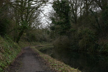 Fototapeta premium a view of the grand western canal near Tiverton from the tow path