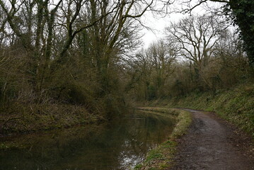 a view of the grand western canal near Tiverton from the tow path