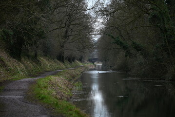 a view of the grand western canal near Tiverton from the tow path