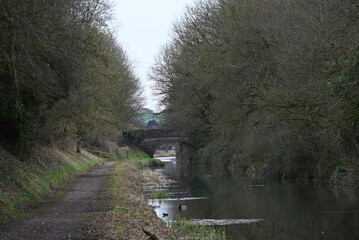 a view of the grand western canal near Tiverton from the tow path