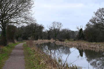 a view of the grand western canal near Tiverton from the tow path