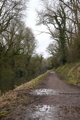 Fototapeta premium a view of the grand western canal near Tiverton from the tow path