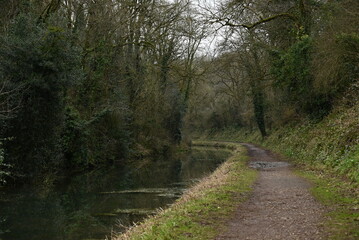 Obraz premium a view of the grand western canal near Tiverton from the tow path