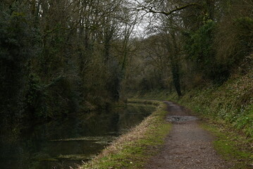 Fototapeta premium a view of the grand western canal near Tiverton from the tow path