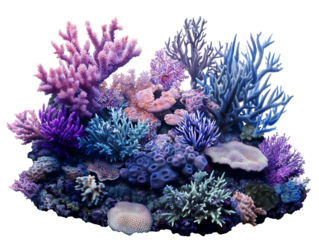 Blue coral reef for aquariums, colorful ocean ecosystem isolated on a transparent background