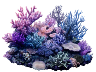 Gordijnen Blue coral reef for aquariums, colorful ocean ecosystem isolated on a transparent background © Вика Токалова